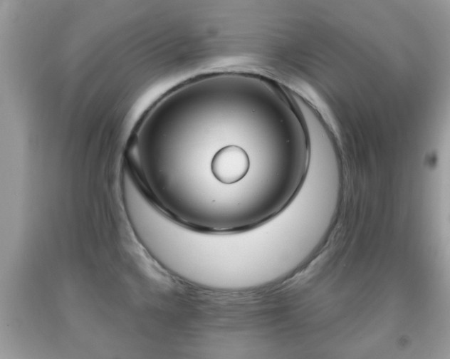X0000091991336200709131446