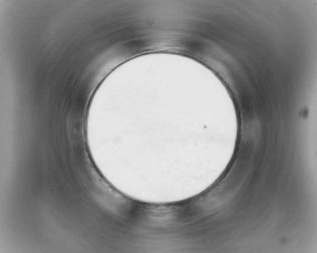 X0000091991338200709131446