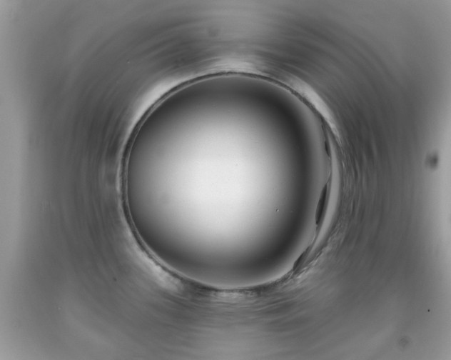 X0000091991339200709131446