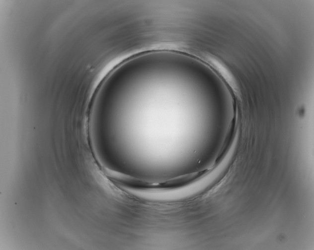 X0000091991340200709131446