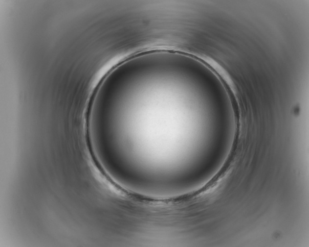 X0000091991341200709131446