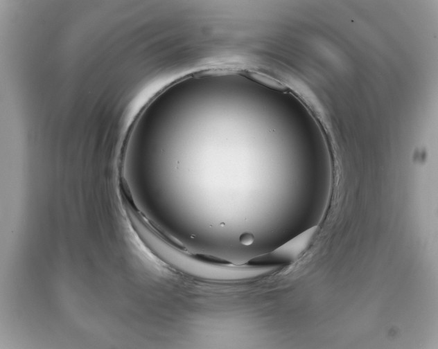 X0000091991344200709131446