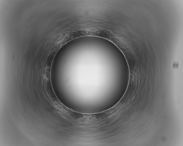 X0000091991346200709131445