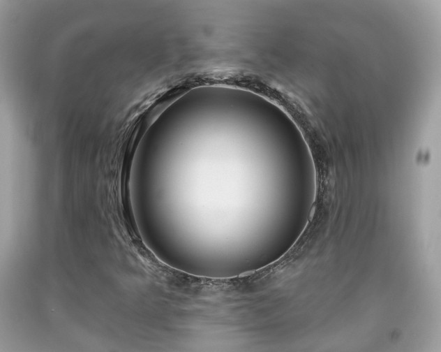 X0000091991349200709131445