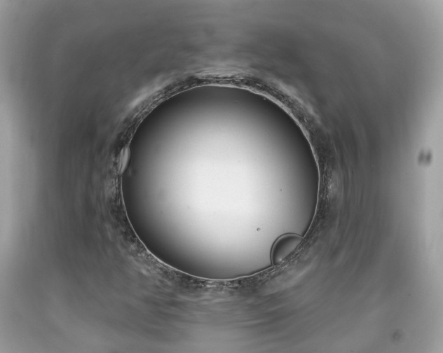 X0000091991350200709131445