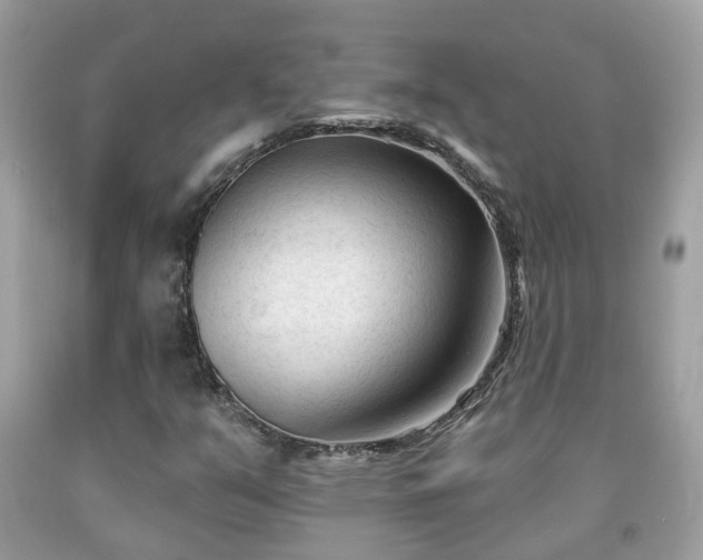 X0000091991351200709131445