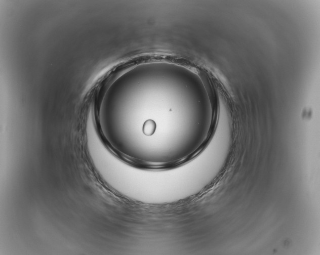 X0000091991352200709131445