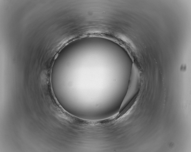 X0000091991353200709131445