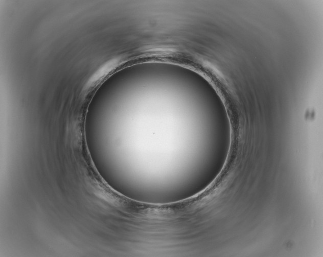 X0000091991354200709131445