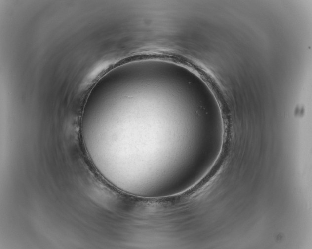 X0000091991355200709131445