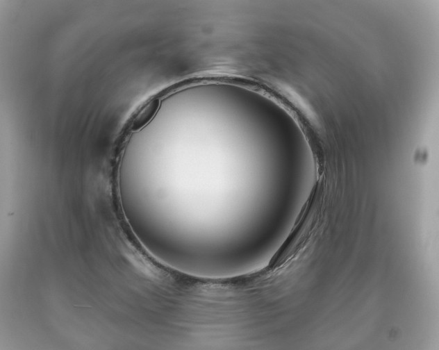X0000091991356200709131445