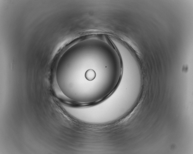 X0000091991357200709131445