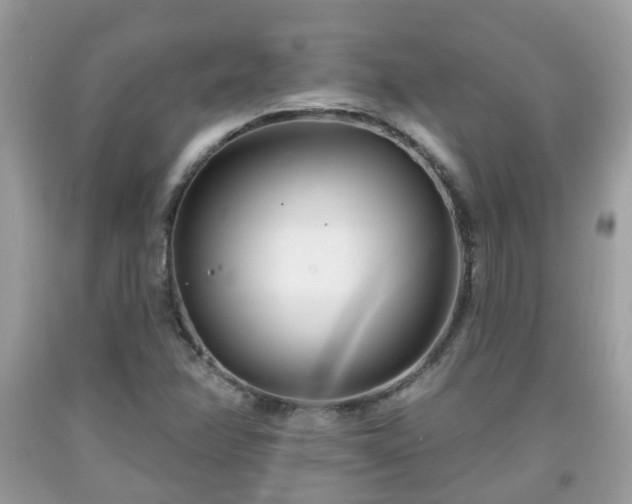 X0000091991358200709131445
