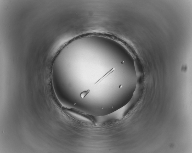 X0000091991359200709131445