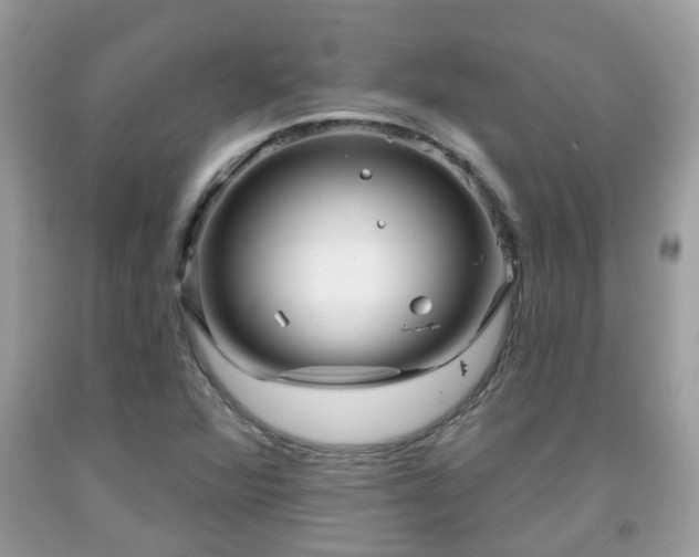 X0000091991360200709131445