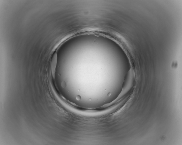 X0000091991361200709131445