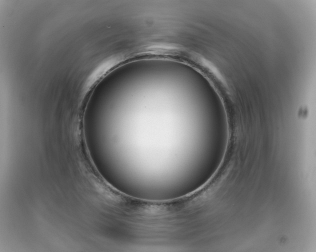 X0000091991362200709131445