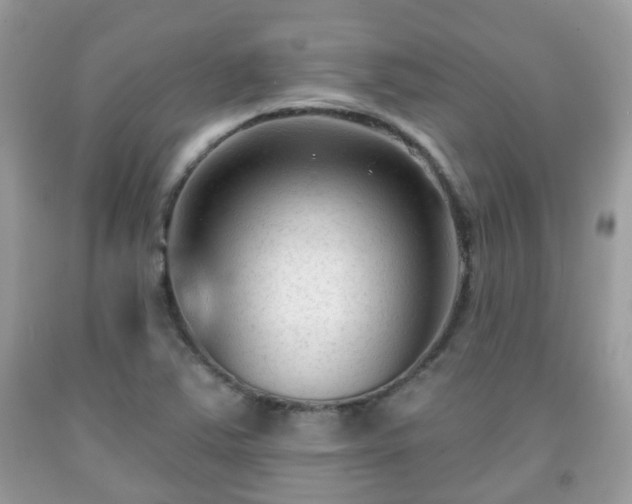 X0000091991363200709131445