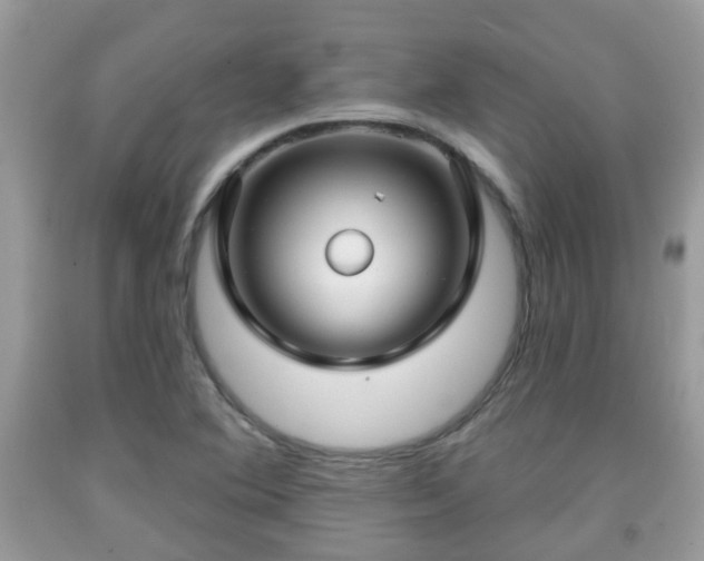 X0000091991364200709131445