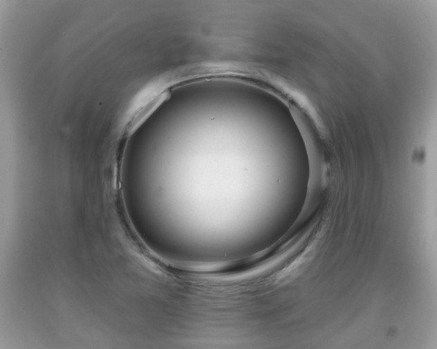 X0000091991365200709131445