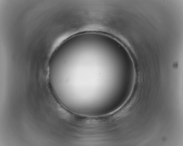 X0000091991366200709131445