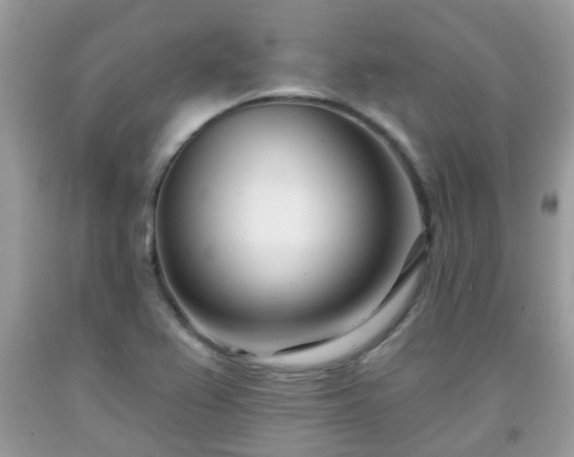 X0000091991367200709131445
