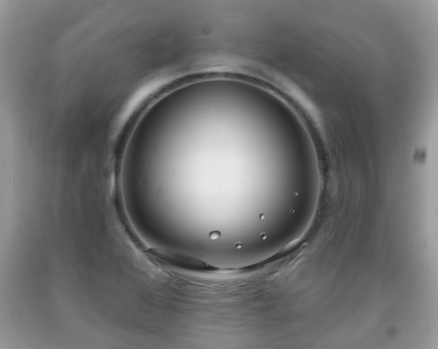 X0000091991368200709131445