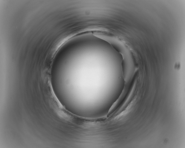 X0000091991369200709131445