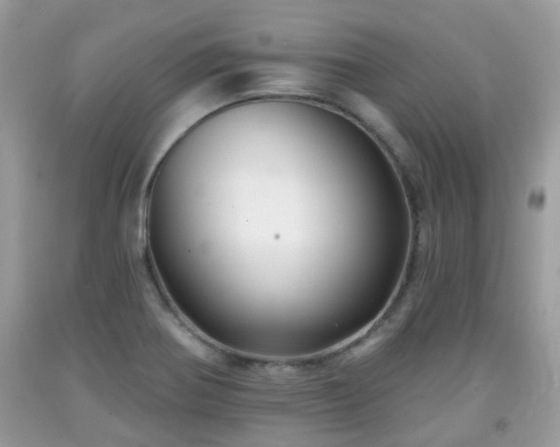 X0000091991370200709131445