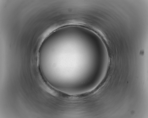 X0000091991371200709131445