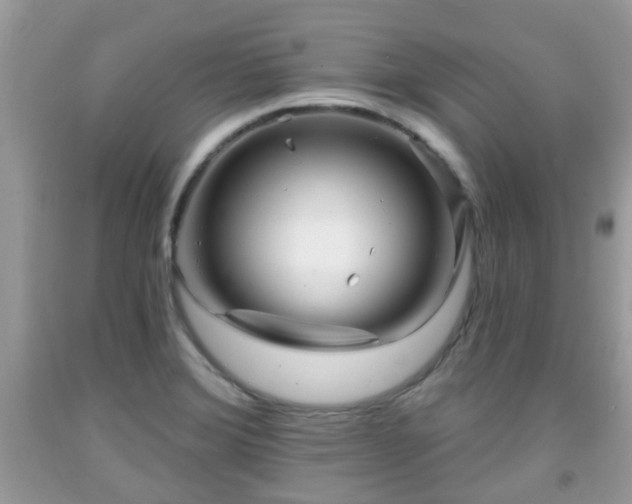 X0000091991372200709131445