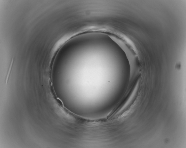 X0000091991373200709131444