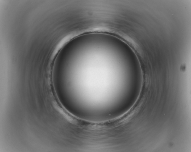 X0000091991374200709131444