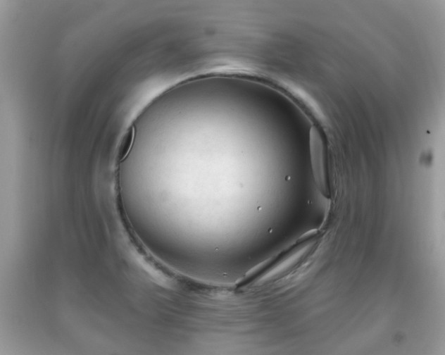X0000091991375200709131444