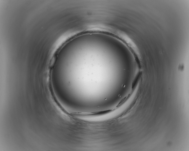 X0000091991376200709131444