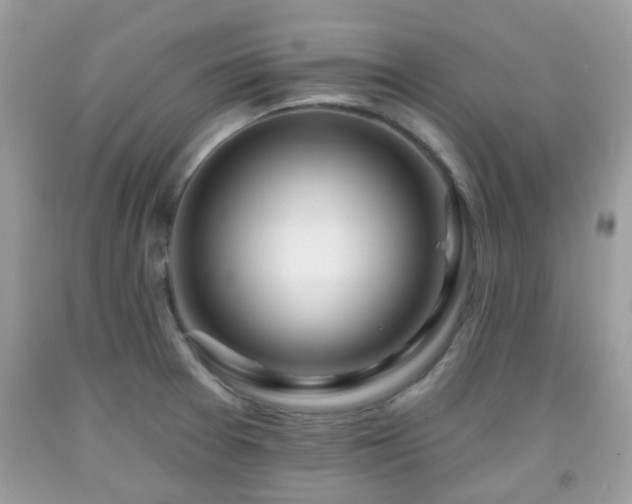 X0000091991377200709131444