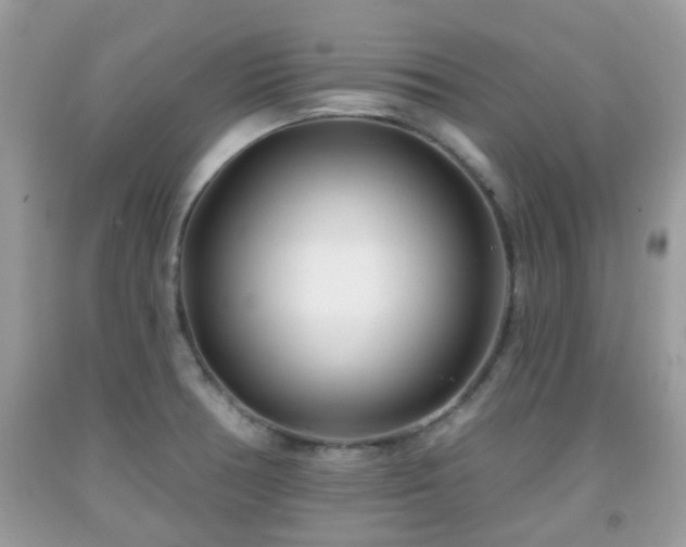 X0000091991378200709131444