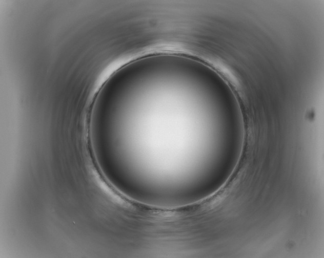 X0000091991382200709131444