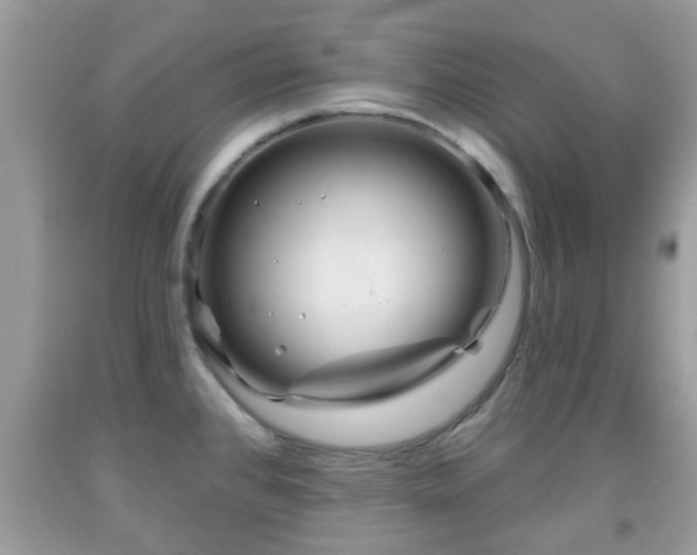 X0000091991384200709131444
