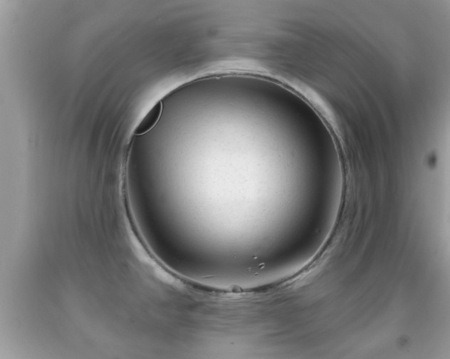 X0000091991390200709131444