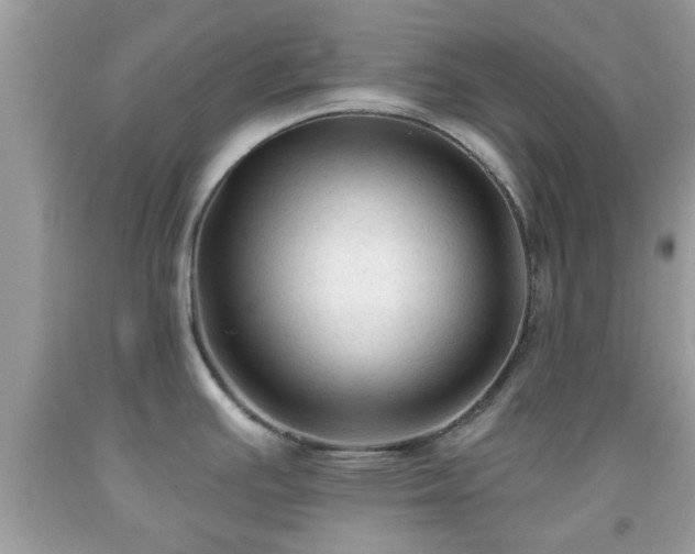 X0000091991391200709131444