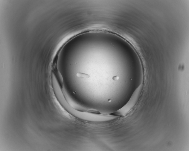 X0000091991392200709131444