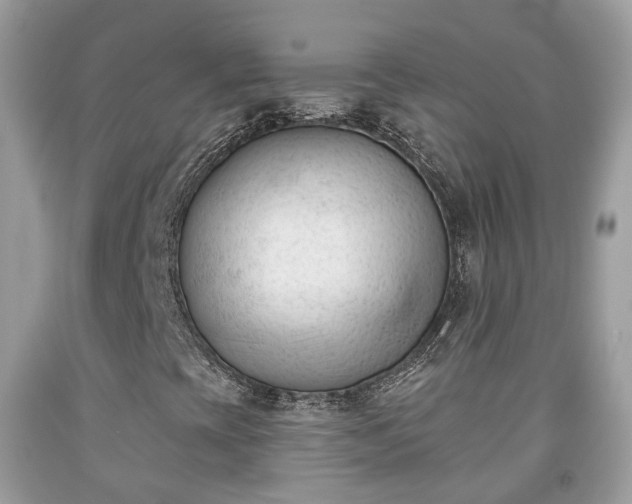 X0000091991393200709131444