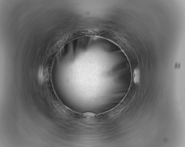 X0000091991395200709131444