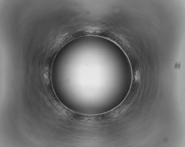X0000091991396200709131444