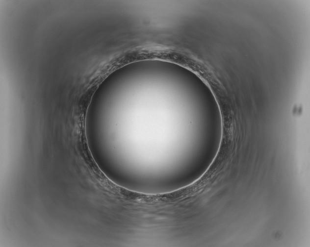 X0000091991397200709131444