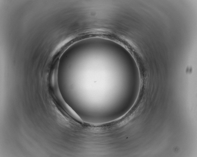 X0000091991402200709131444