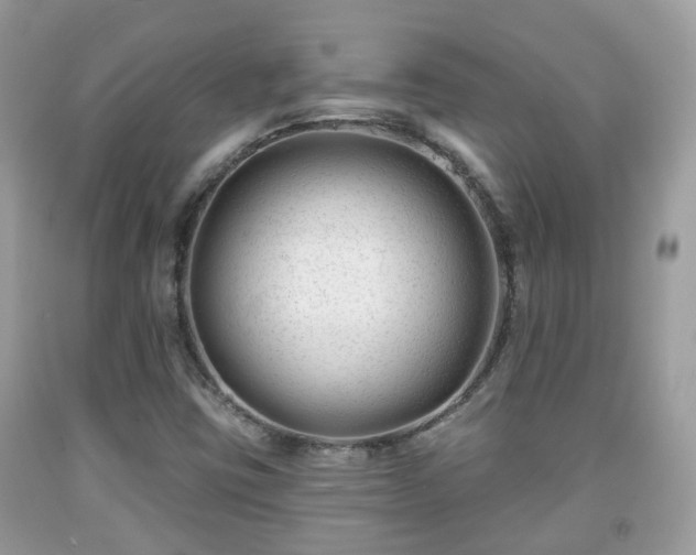 X0000091991403200709131444