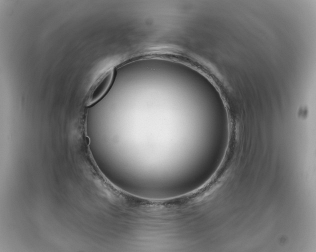 X0000091991405200709131444