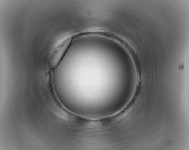 X0000091991406200709131444